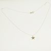 Colgante Collar Estrella