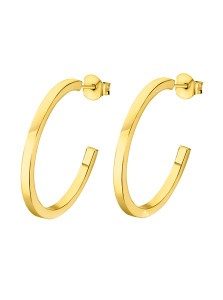 Pendientes Aros de Plata