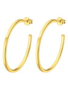 Pendientes Aros de Plata