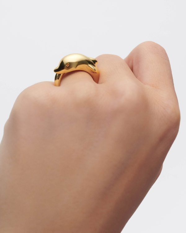 Anillo Sortija de Plata bañada - Imagen 2