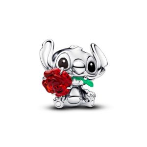 Charm de plata de ley de Stitc