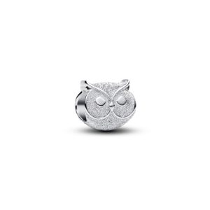 Mini charm de buho en plata