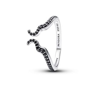 Anillo de plata de ley