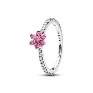 Anillo de plata de ley