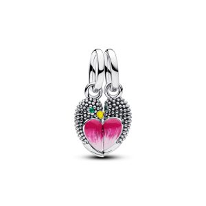 Charm Colgante magnético de pájaros